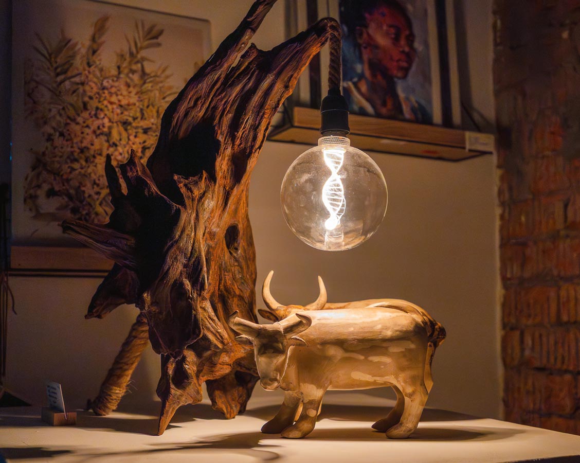 Biophilia_ Riaan Venter - DNA Light
