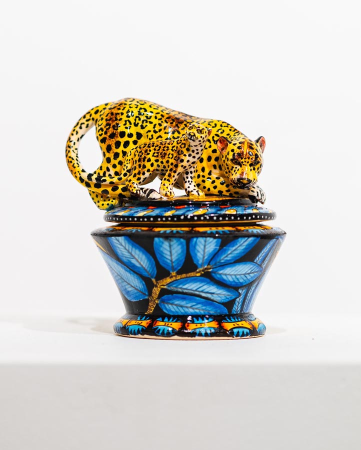 Biophilia_ Senzo Duma - Leopard Family