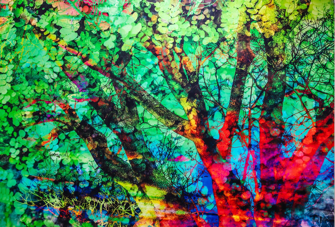 Biophilia_Jane Bedfod - Leaves Keep Falling From The Sky