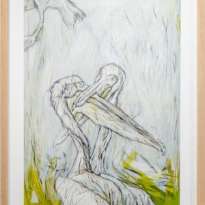 Biophilia_Petra Gevers - In Play (2 Pelicans)