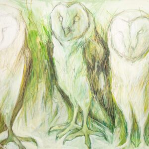 Biophilia_Petra Gevers - Who are you (Owls)
