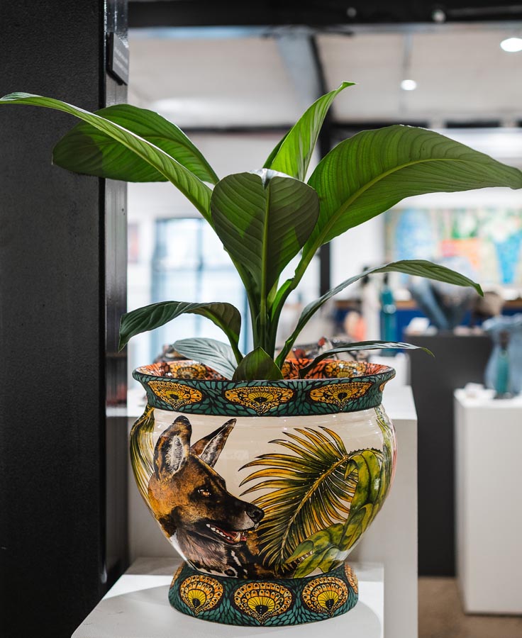 Revival. Senzo Duma - Wild Dog Planter