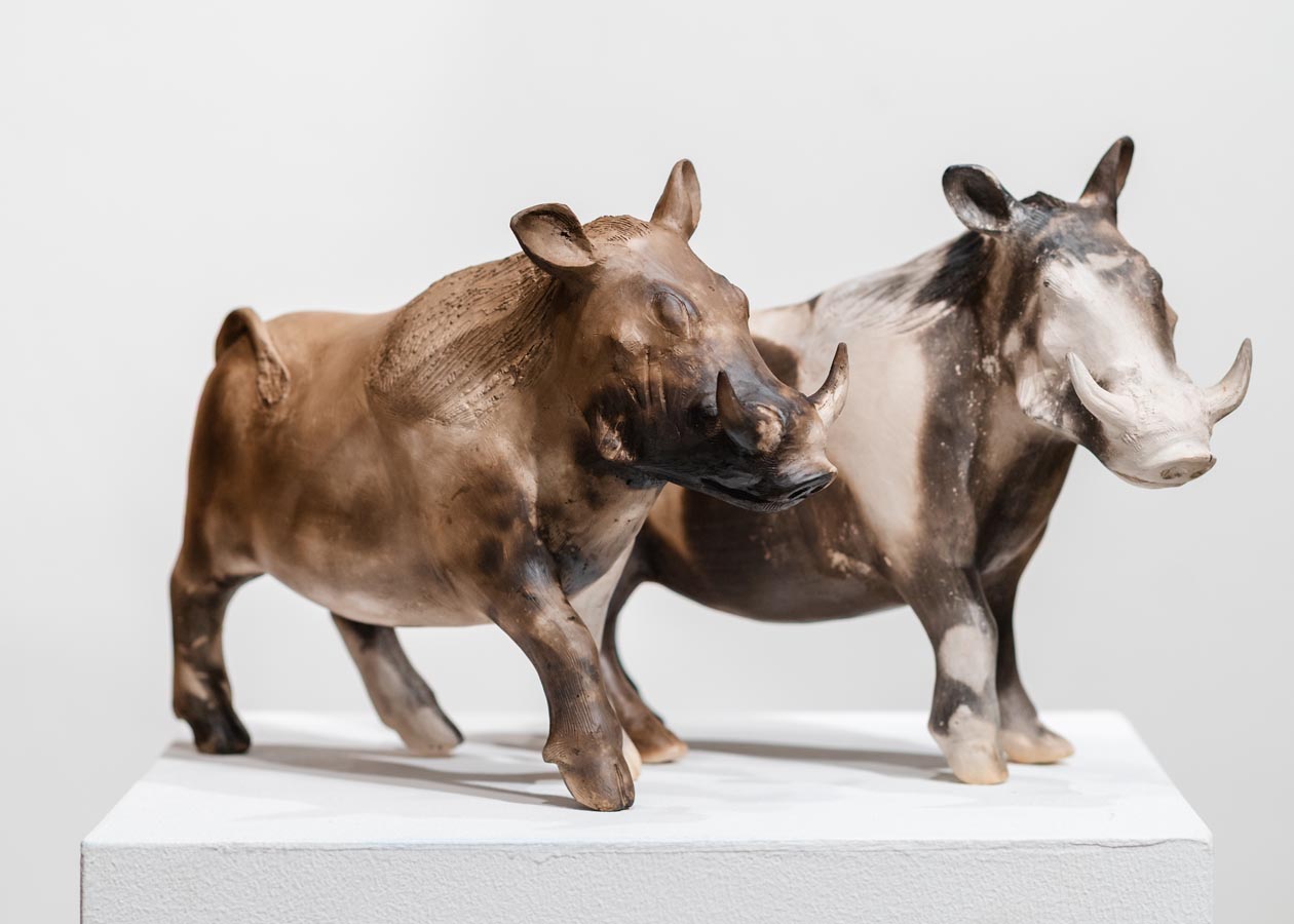 Immersion_Phumlani Nyawo_Warthog