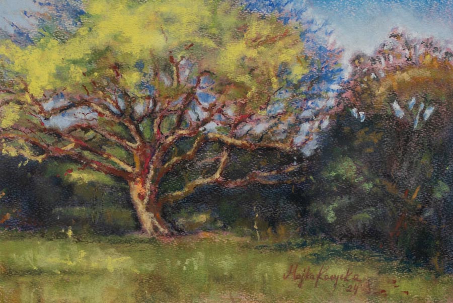 Nostalgia_Maria Korycka_Family Tree