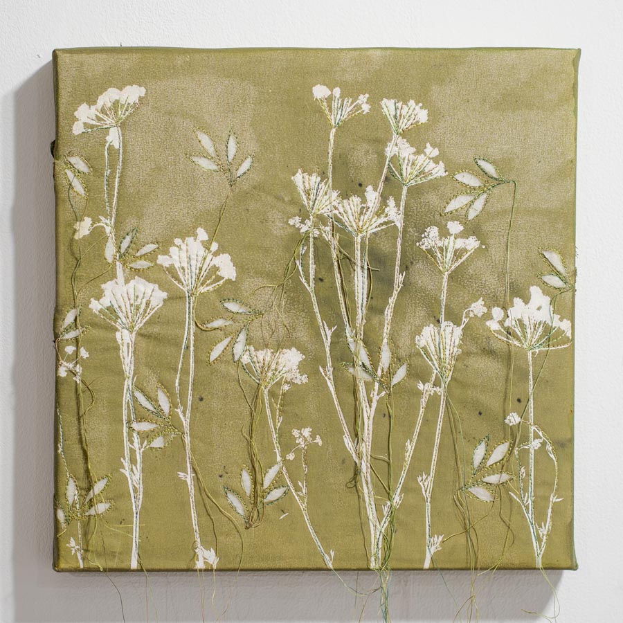 Dematerialize_Barbara Murray_For the love of parsley I
