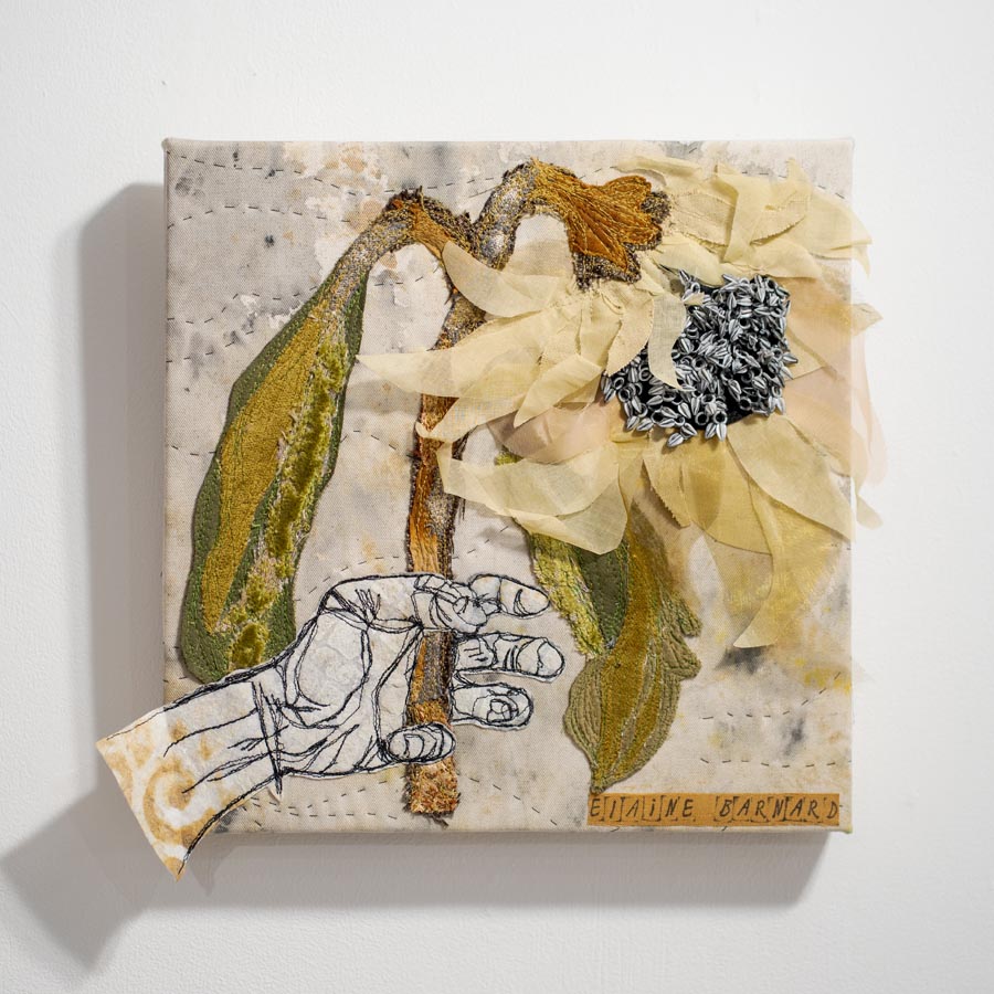Dematerialize_Elaine Barnard_Dematerialize