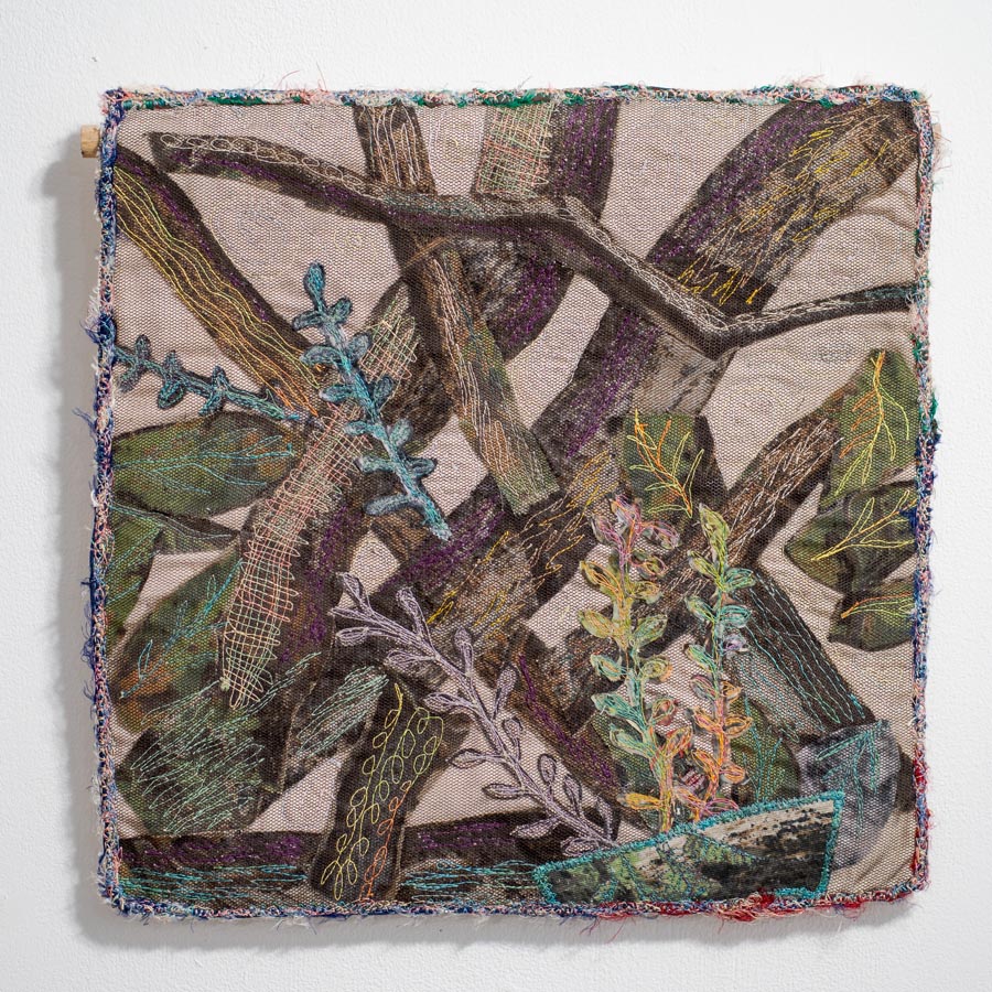 Dematerialize_Sorajani Naidoo_Dearth-Earth