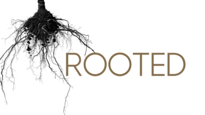 ROOTED_Banner