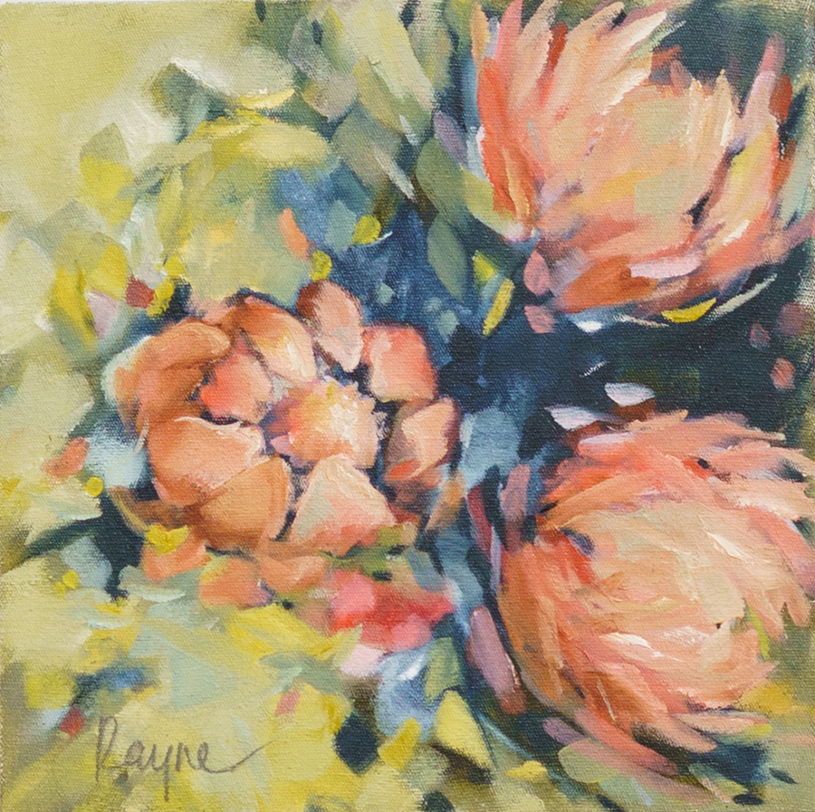 ROOTED_Rayne Hampson_Summer Protea