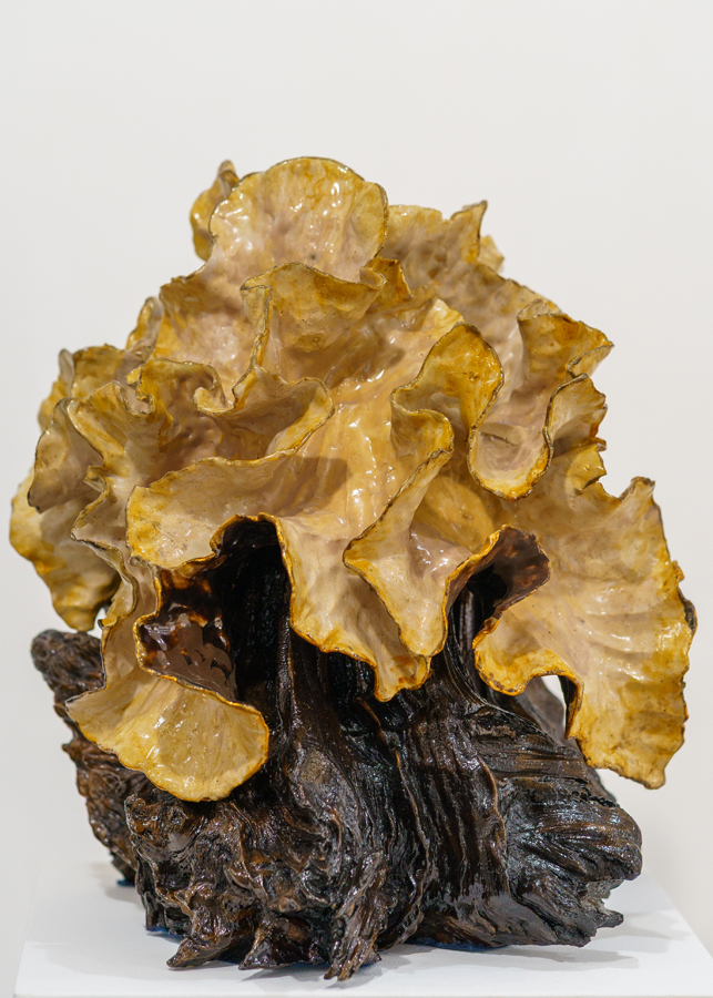 ROOTED_Sam Pitout_Golden Mushroom