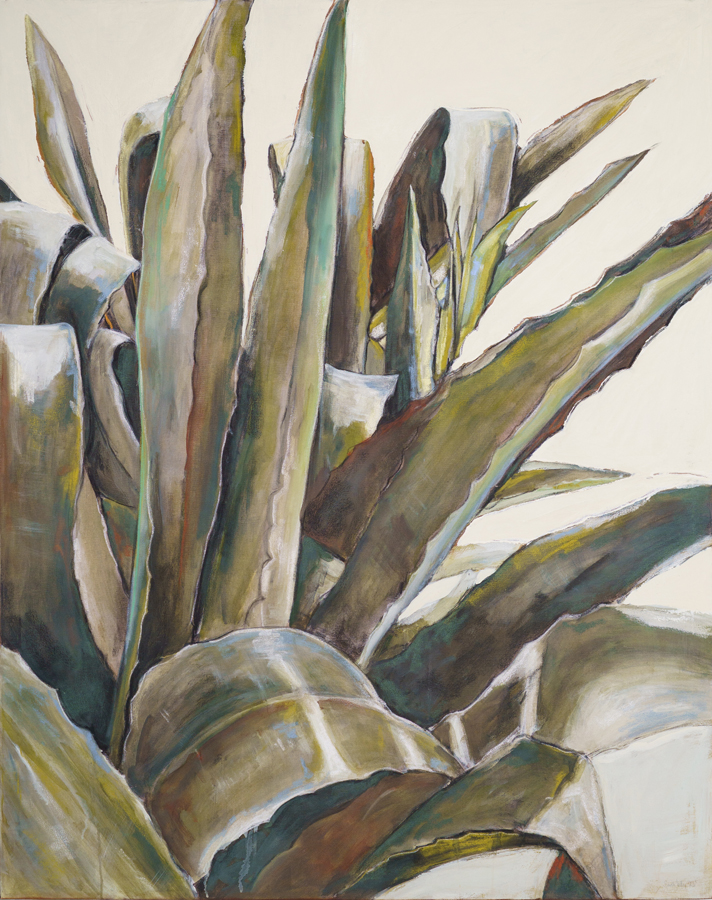 ROOTED_Sarah Kelly_Agave