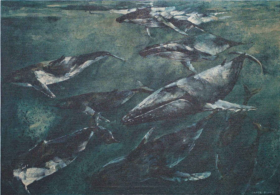 Taking Flight_Leigh Bisset_The Journeymen