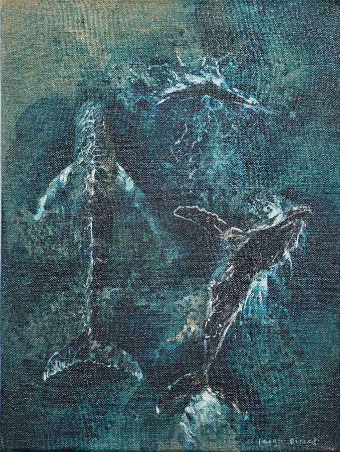 Taking flight_Leigh Bisset_Pelagic 01