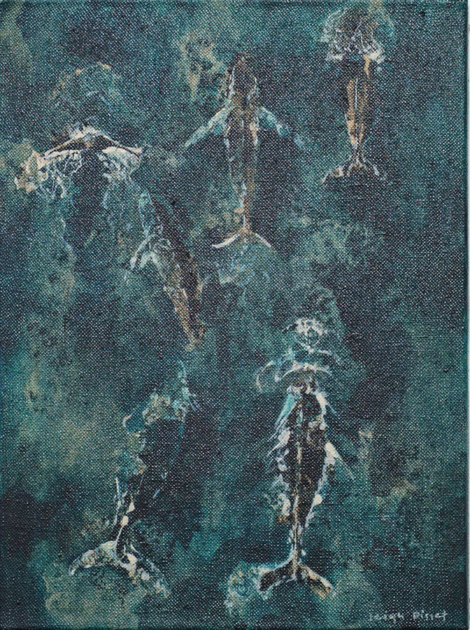 Taking flight_Leigh Bisset_Pelagic 02