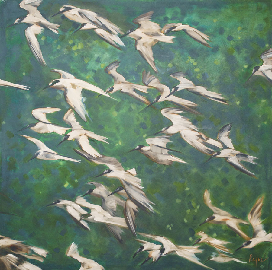 Taking_Flight_Rayne_Hampson_In_the_bay