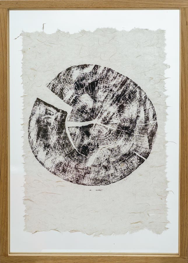 Wabi Sabi_Deborah Ross_Marula Tree