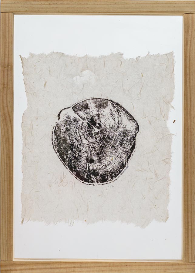 Wabi Sabi_Deborah Ross_Silver Cluster Leaf