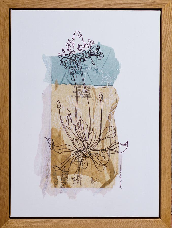 Wabi Sabi_Shelley Mattinson_Beauty in the forgotten (wild Flora II)