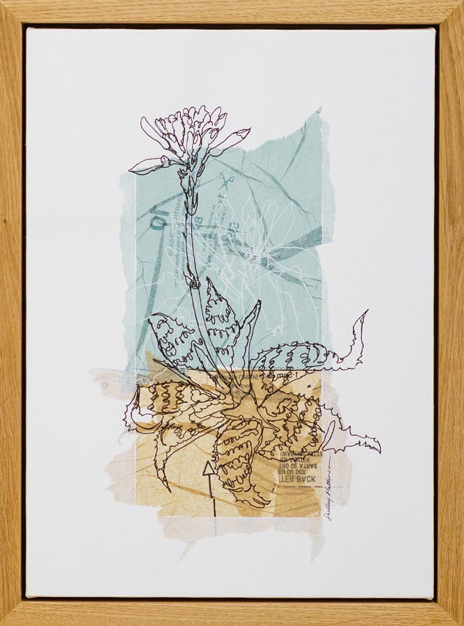 Wabi Sabi_Shelley Mattionson_Beauty in the forgotten (wild flora III)